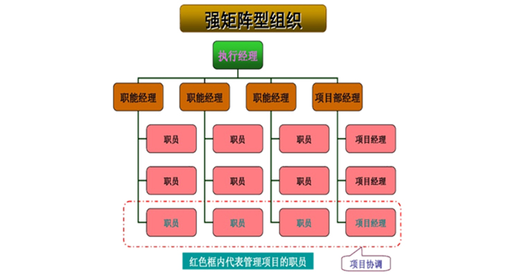 强矩阵型组织